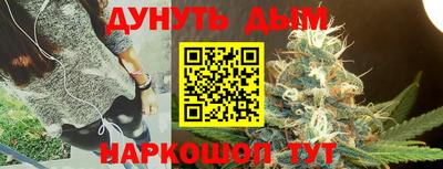 прущие крисы Новозыбков