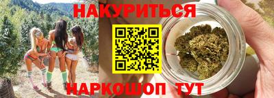 прущие крисы Новозыбков