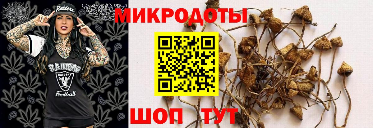 Галлюциногенные грибы мицелий Тольятти